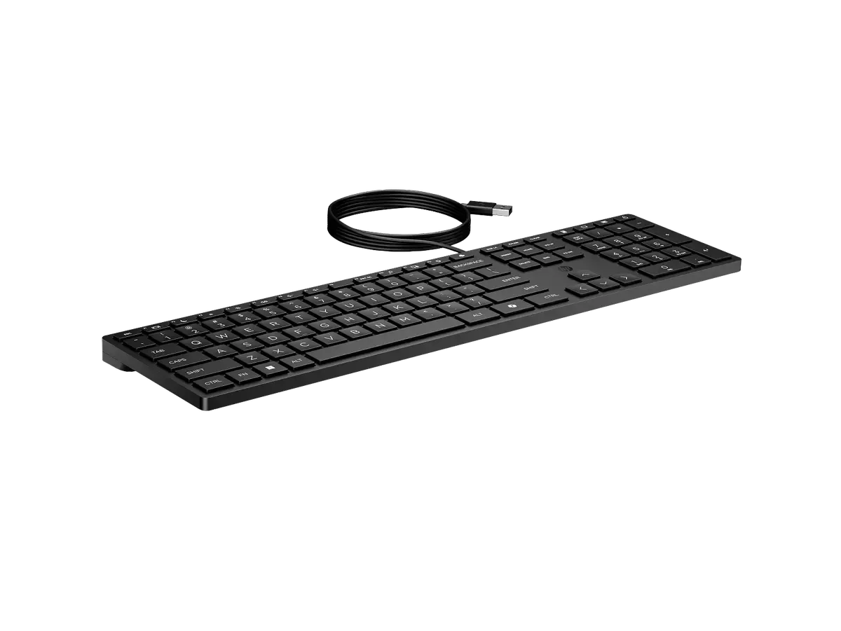 HP WIRED DESKTOP 320K USB KEYBOARD FULL SIZE QUIET KEYS BLACK | Ergonomic Office Desktop Keyboard with Low Profile Quiet Keys & Plug and Play USB