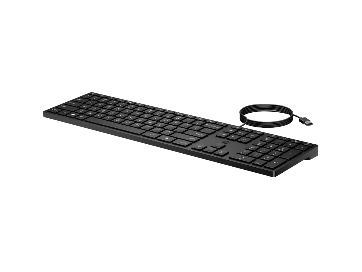 HP WIRED DESKTOP 320K USB KEYBOARD FULL SIZE QUIET KEYS BLACK | Ergonomic Office Desktop Keyboard with Low Profile Quiet Keys & Plug and Play USB