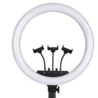 Elevate your content with the MF-36 36cm Ring Light