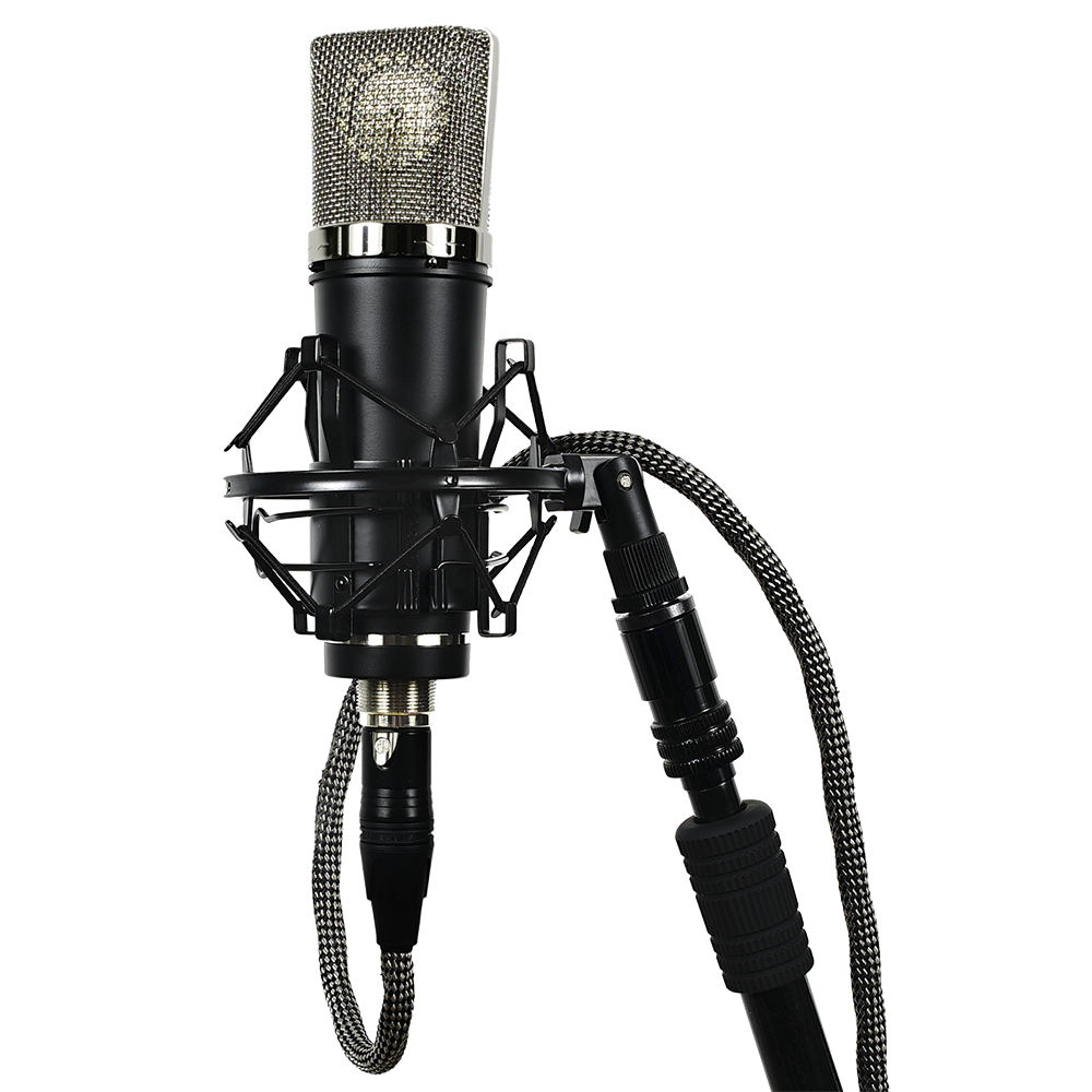 mic